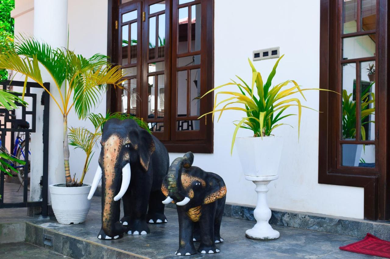 Alffa Guest Inn ตรินโคมาลี ภายนอก รูปภาพ
